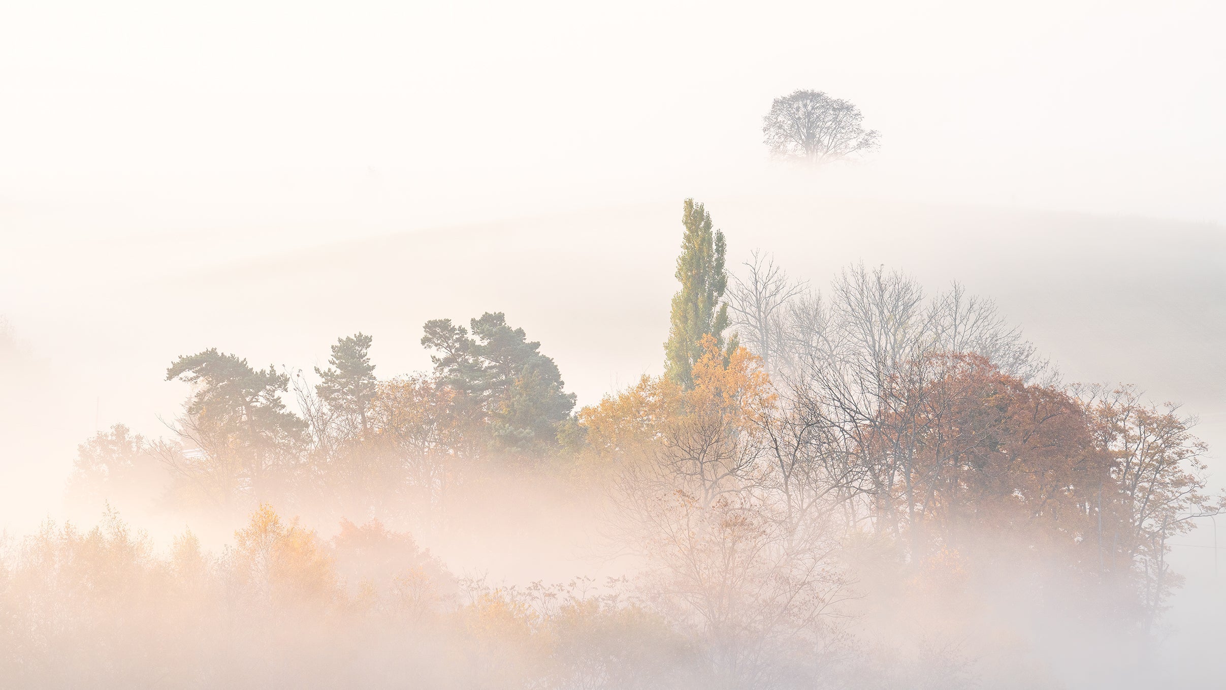 美瑛#5〜丘〜 Biei ,Hokkaido,JAPAN#4〜The Hill〜 平井葉月