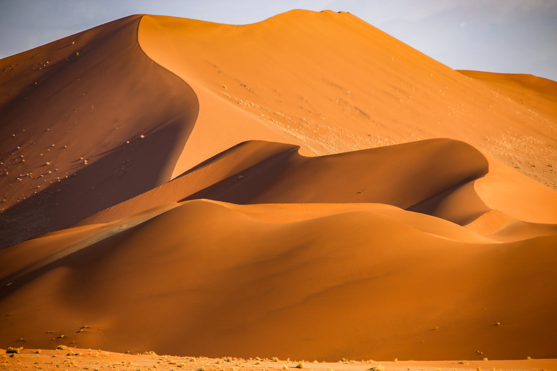 Desert Chiyoshi Sugawara