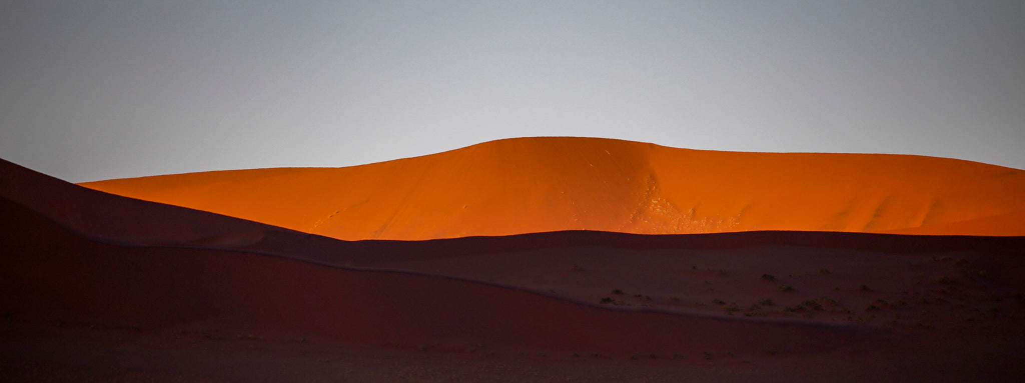 Desert1 菅原千代志
