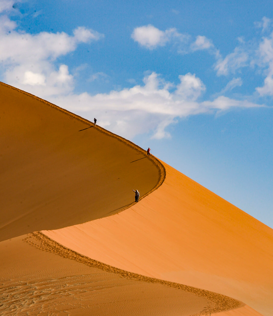 Desert2 Chiyoshi Sugawara