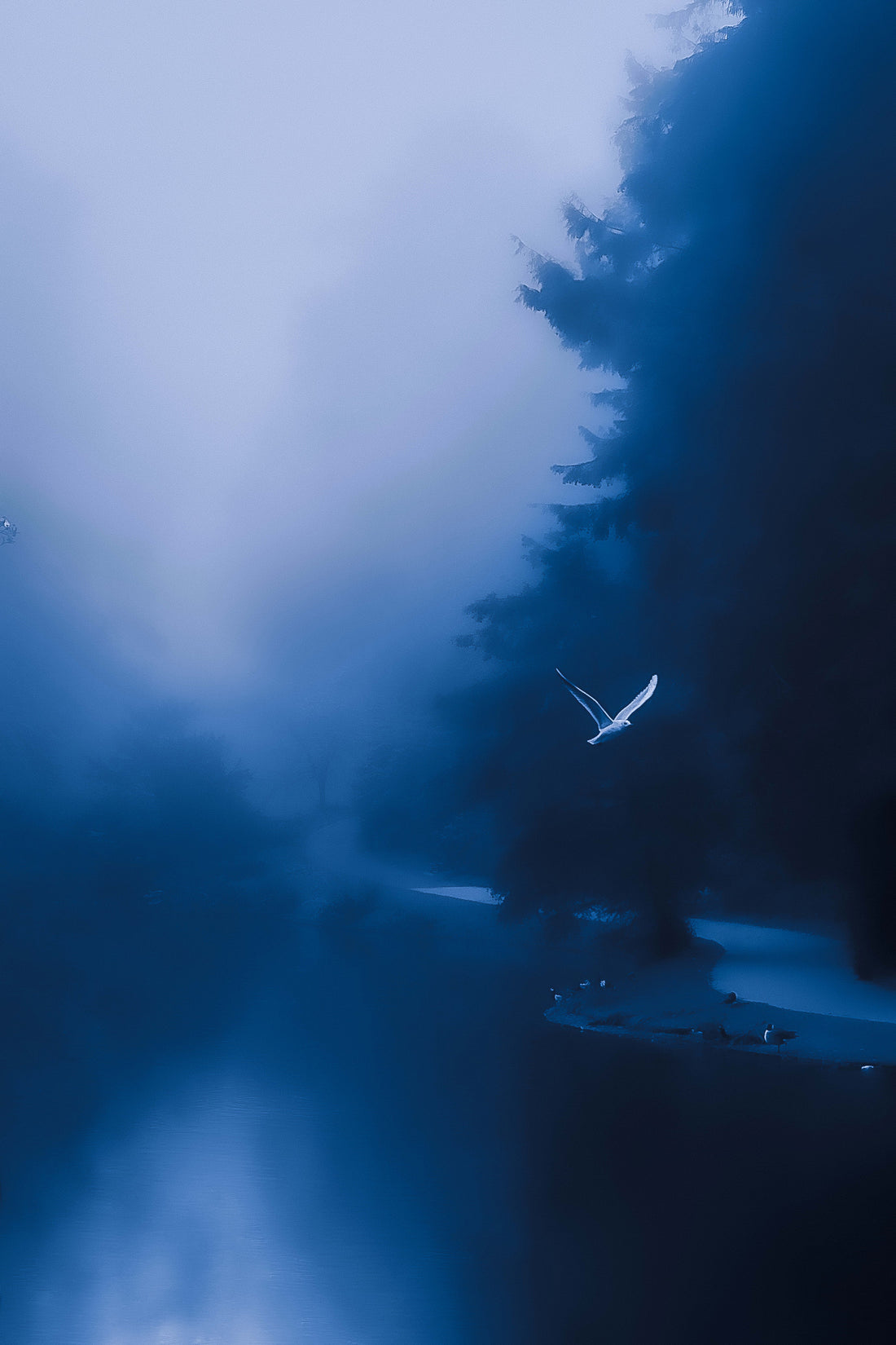 Silent Morning Satomi Mizuno