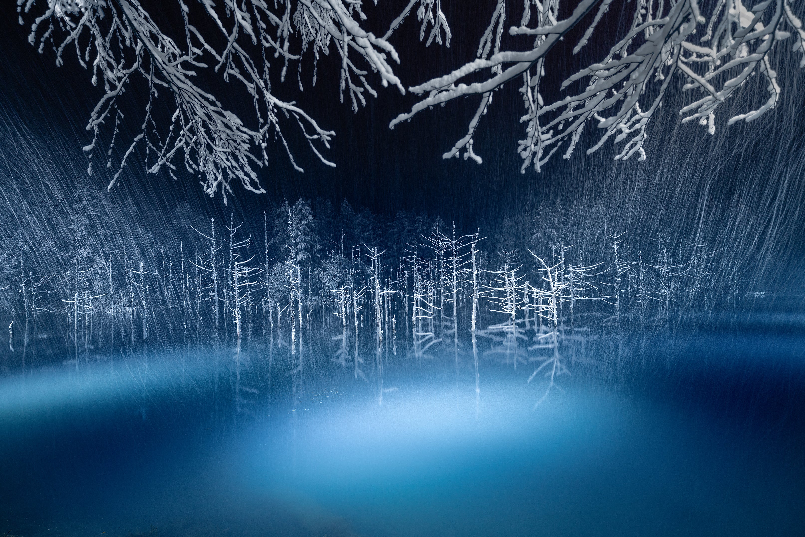 Biei #2〜Blue Pond〜 Biei,Hokkaido,JAPAN#2〜Blue Pond〜 Hazuki Hirai