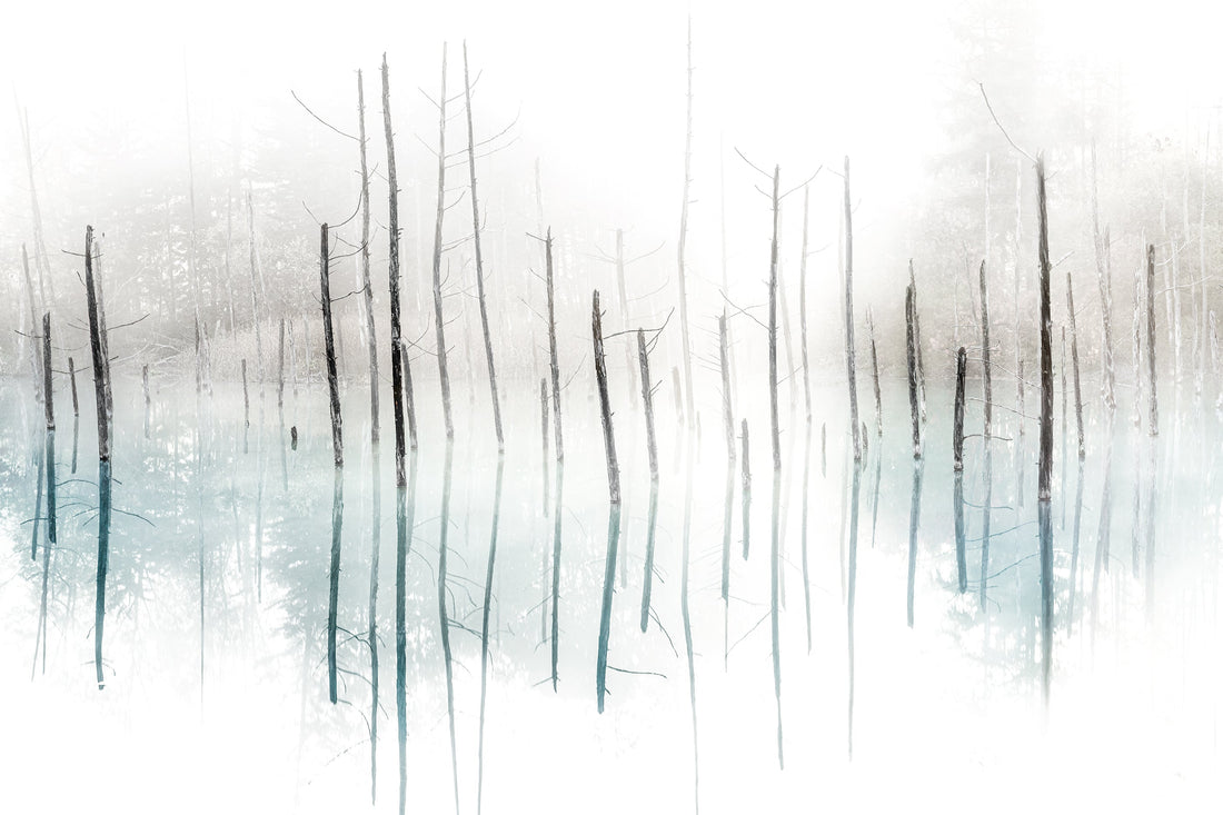 Biei #3〜Blue Pond〜 Biei,Hokkaido,JAPAN#2〜Blue Pond〜 Hazuki Hirai