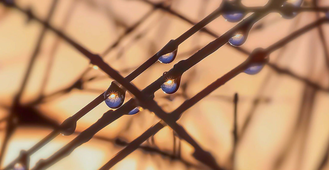 光の雫 水野里美