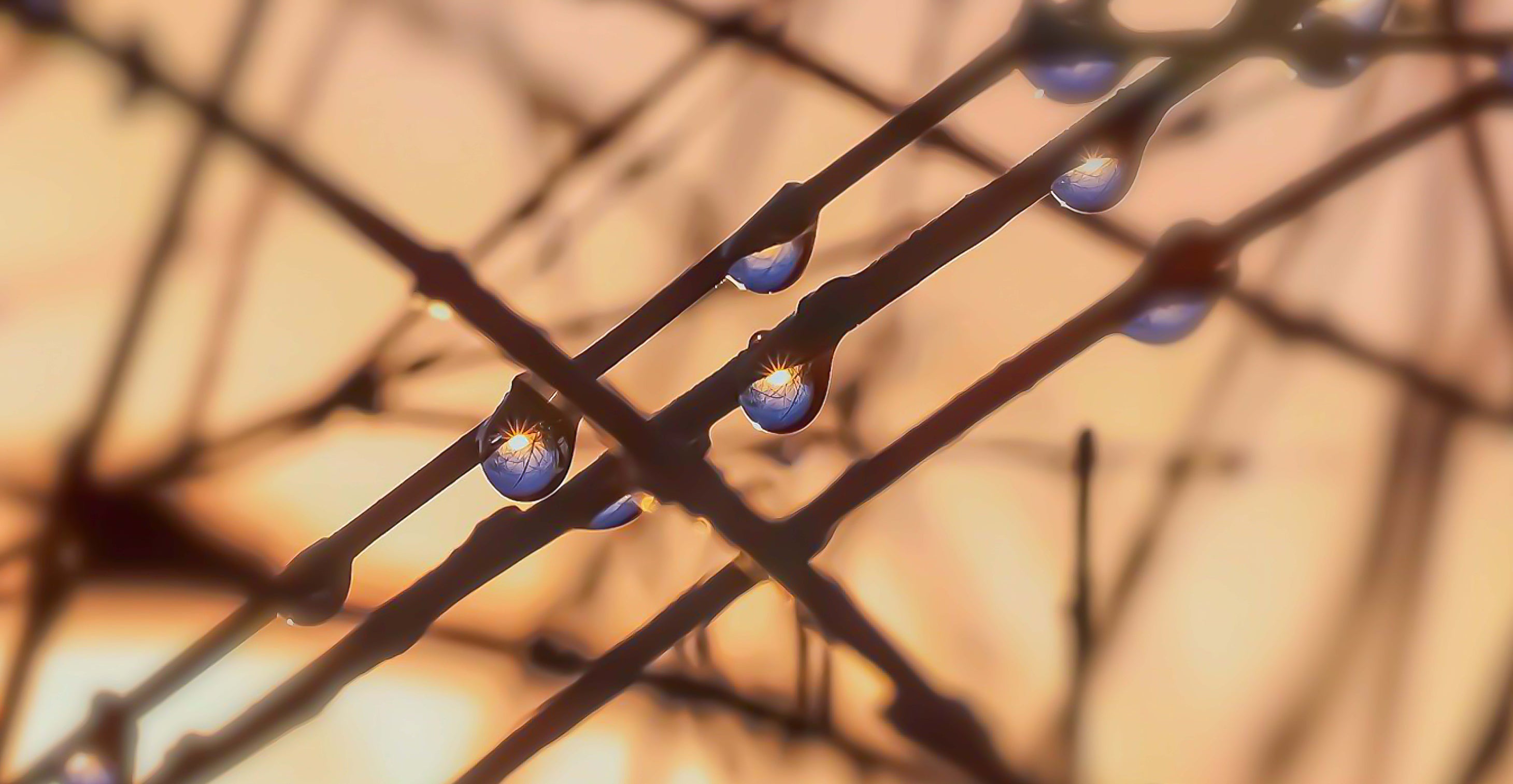 光の雫 水野里美