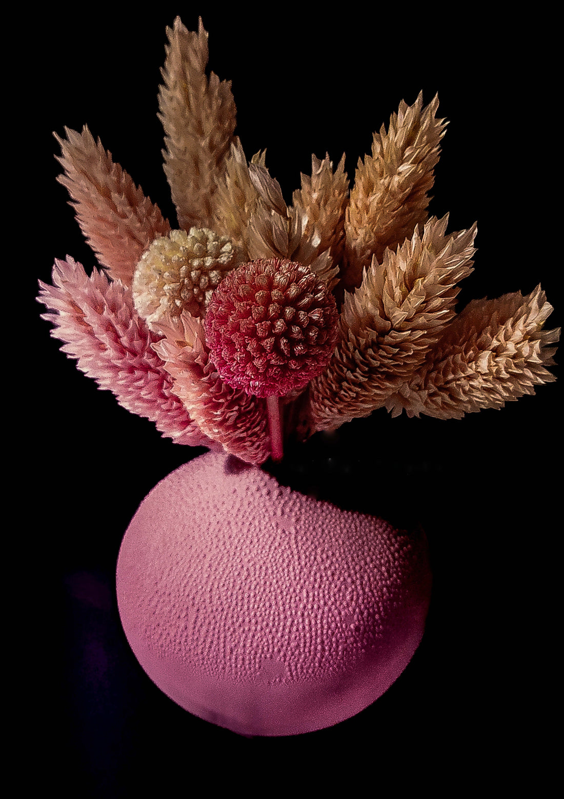 Dried flowers Satomi Mizuno