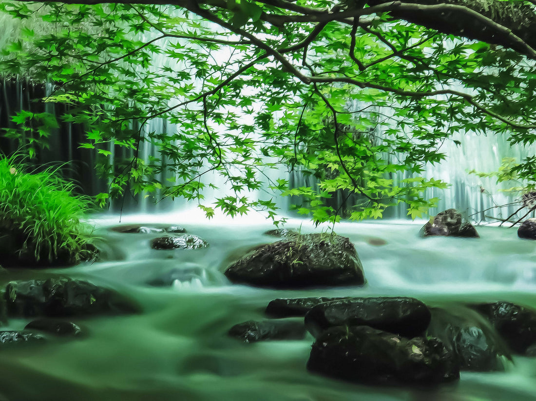 Waterfall Satomi Mizuno