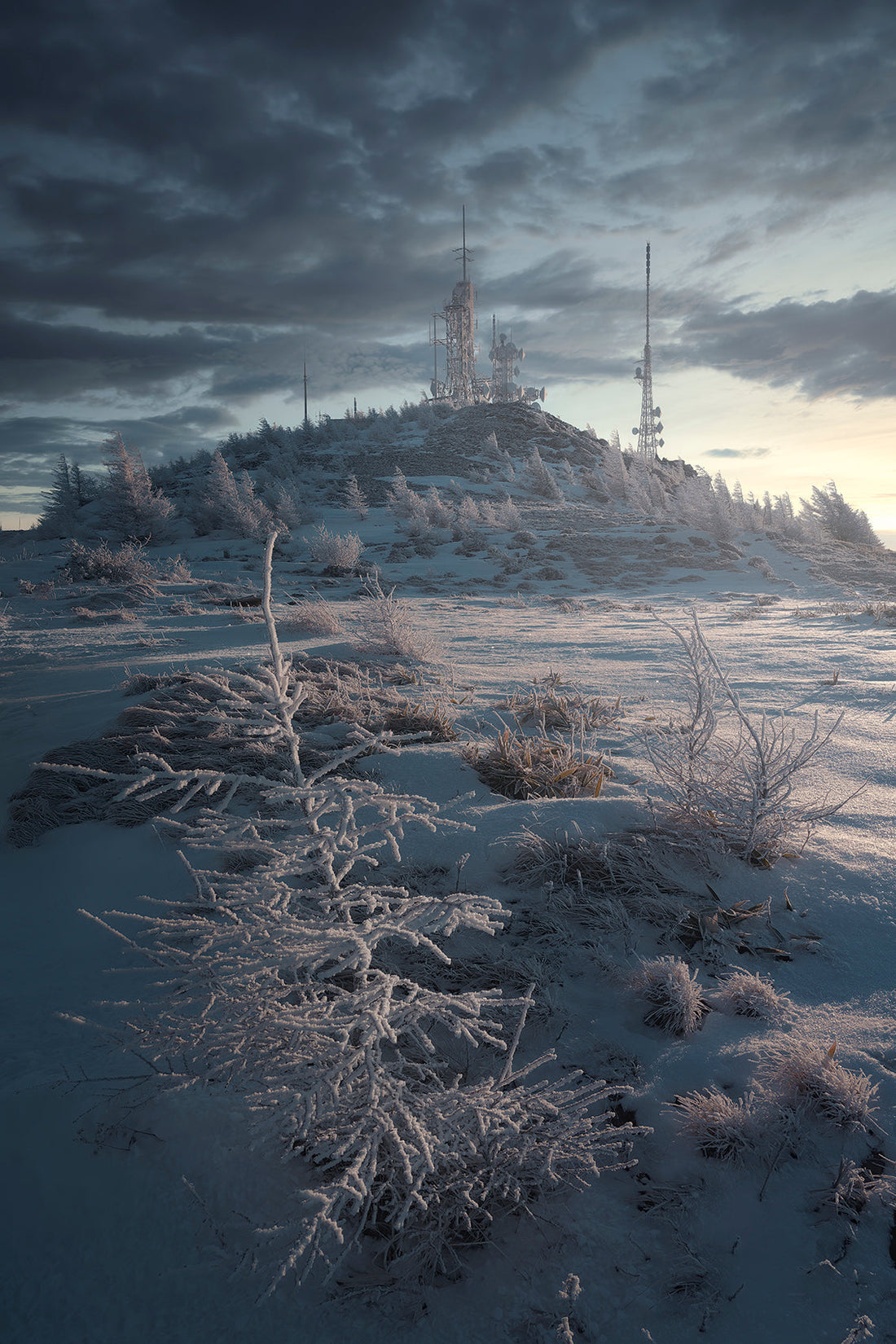 Freezing dawn 後藤太介