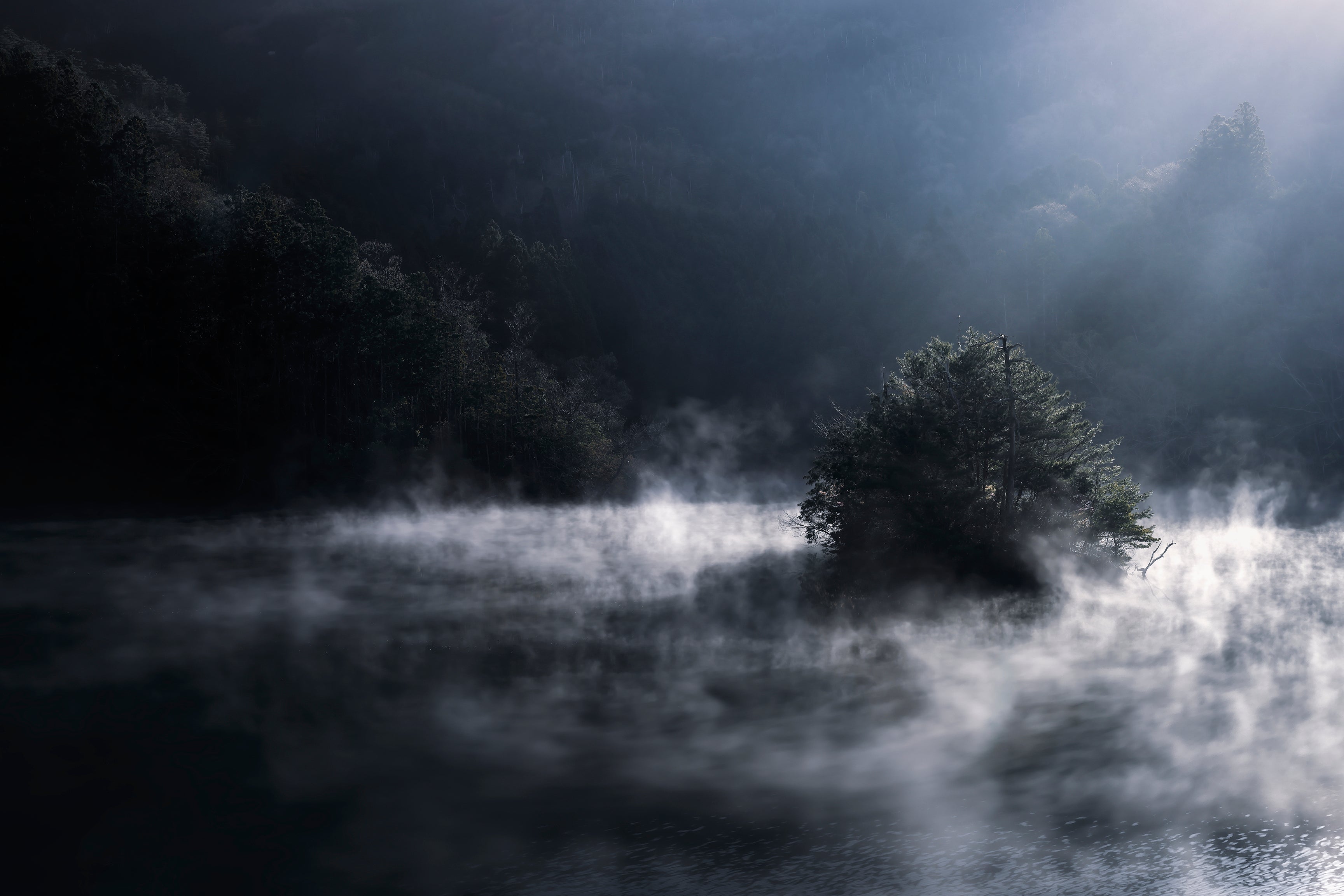 湧き立つ。 (京都府南丹市