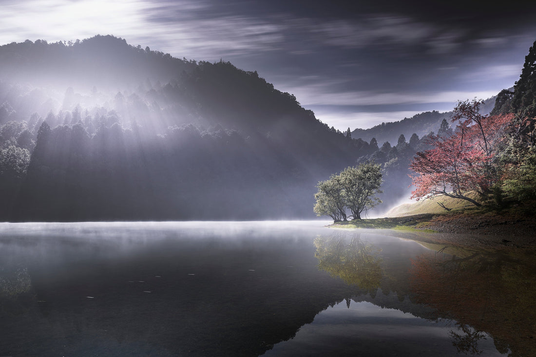 愁光。 (京都府亀岡市) 山下浩司