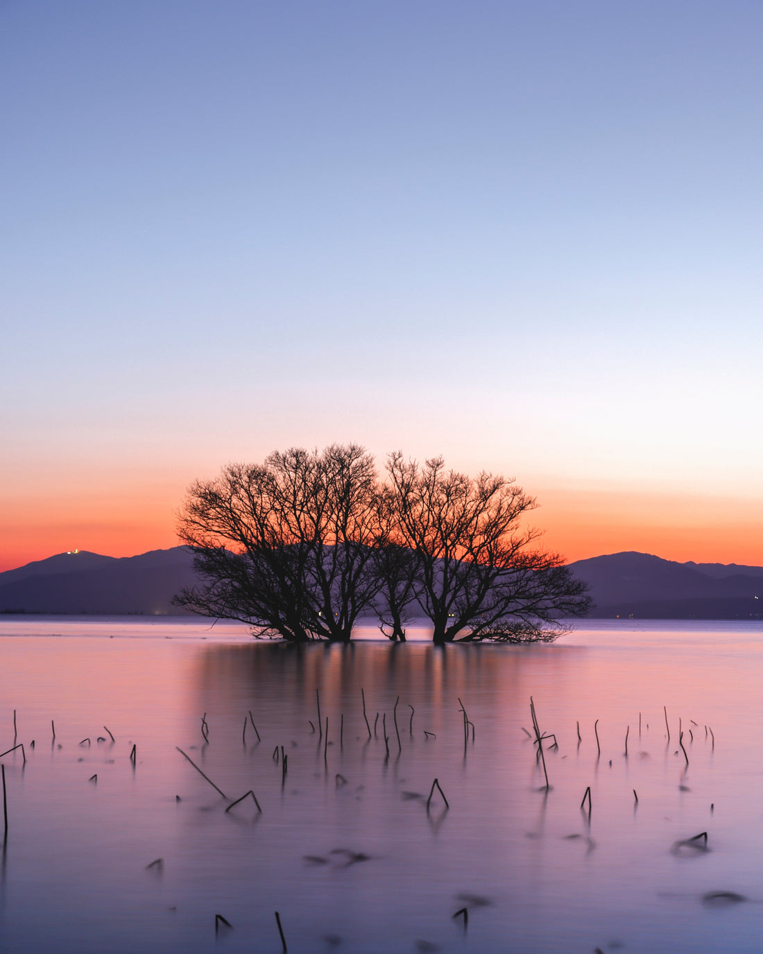 湖北の夕映え。 (滋賀県長浜市