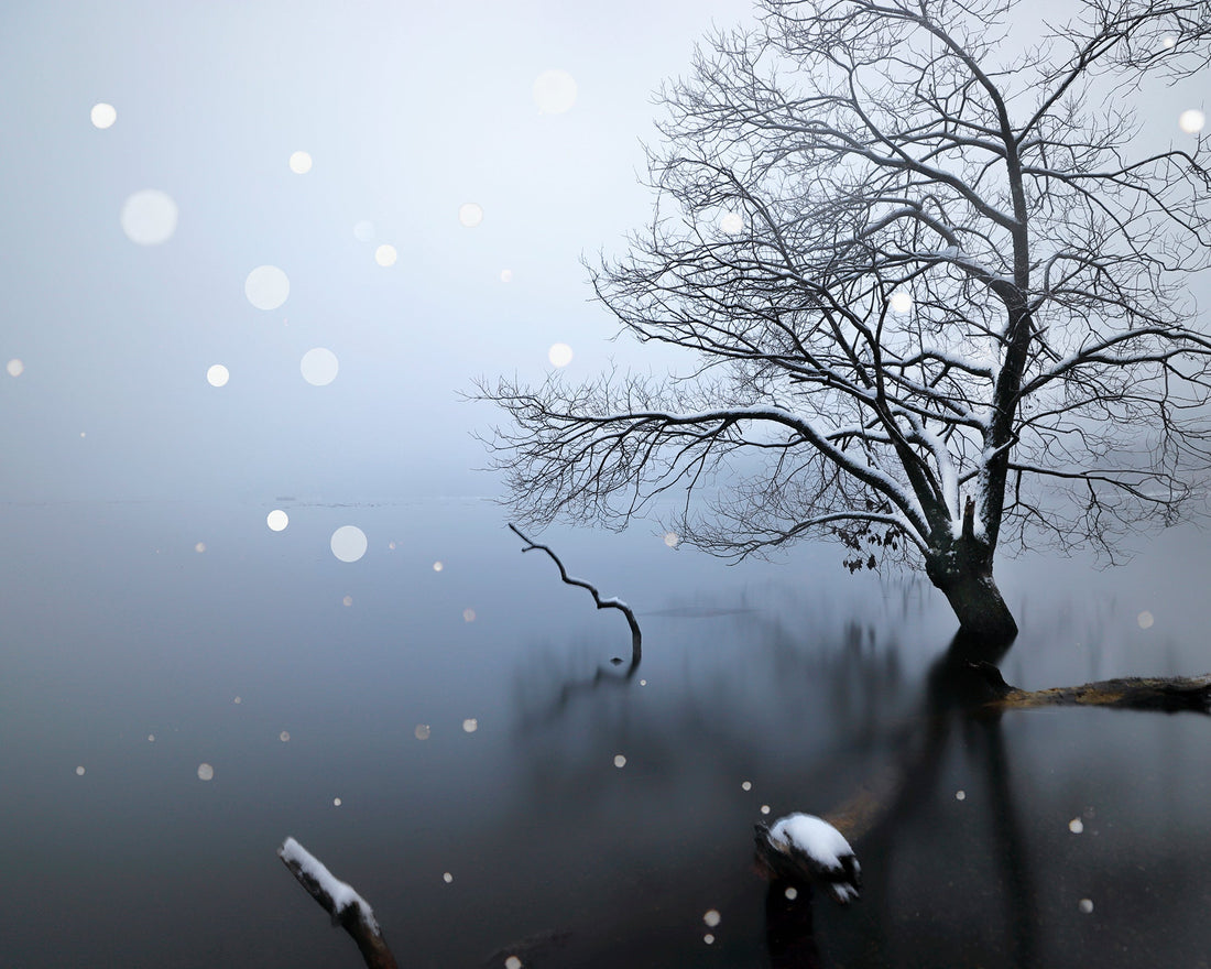 静謐の朝。 (滋賀県長浜市