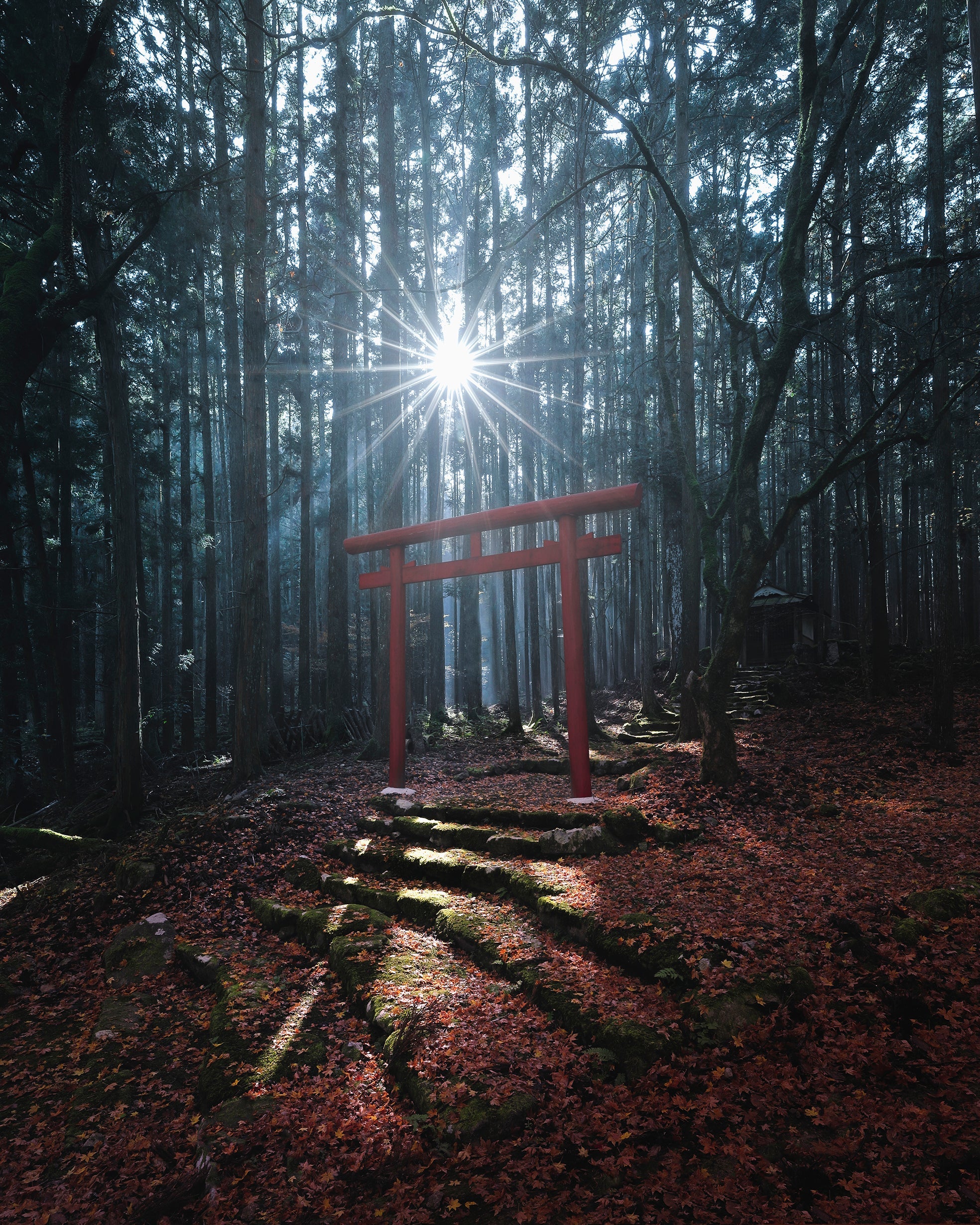 光の社。 (兵庫県丹波市)  山下浩司