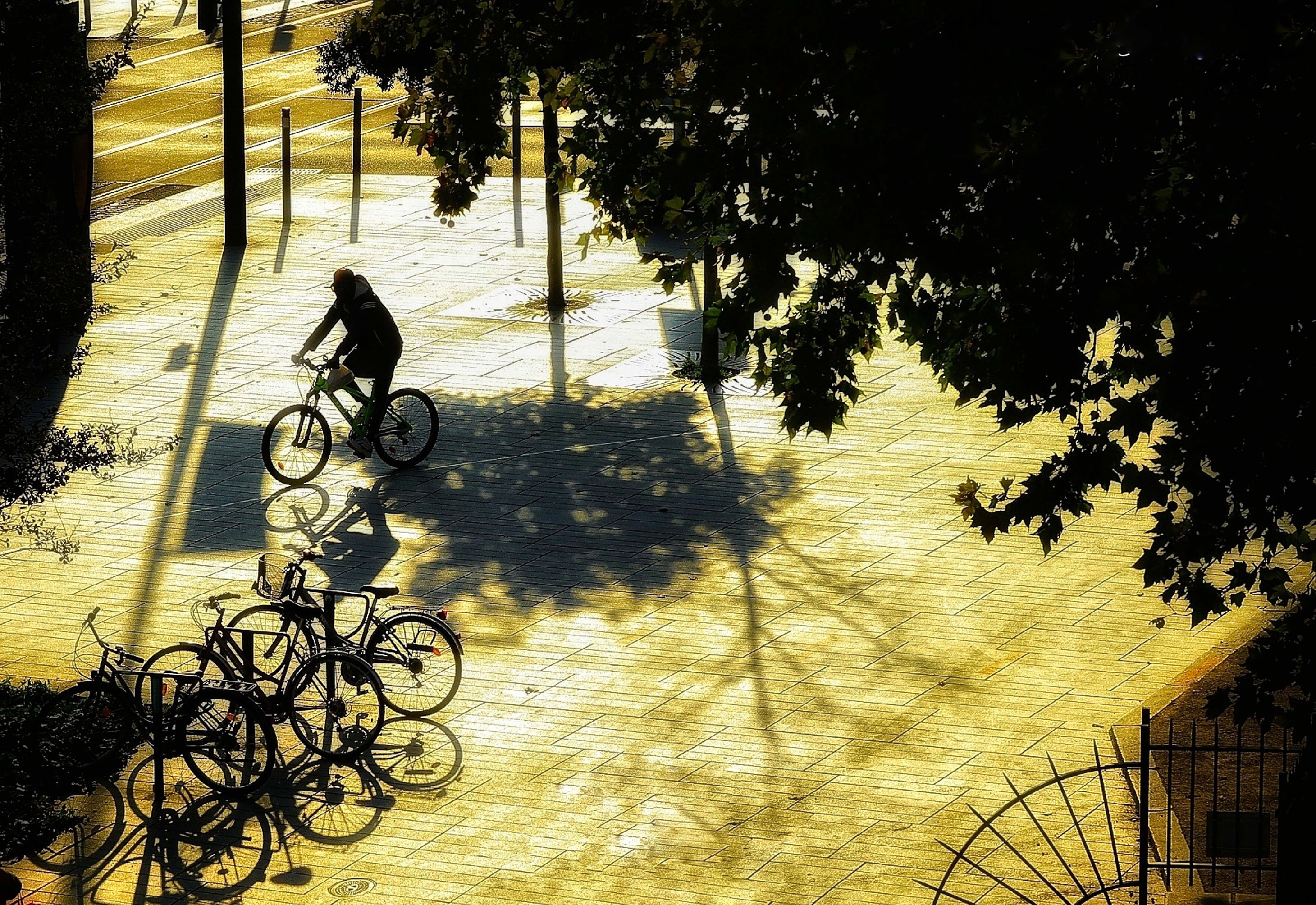 ゴールドに輝く 水野里美