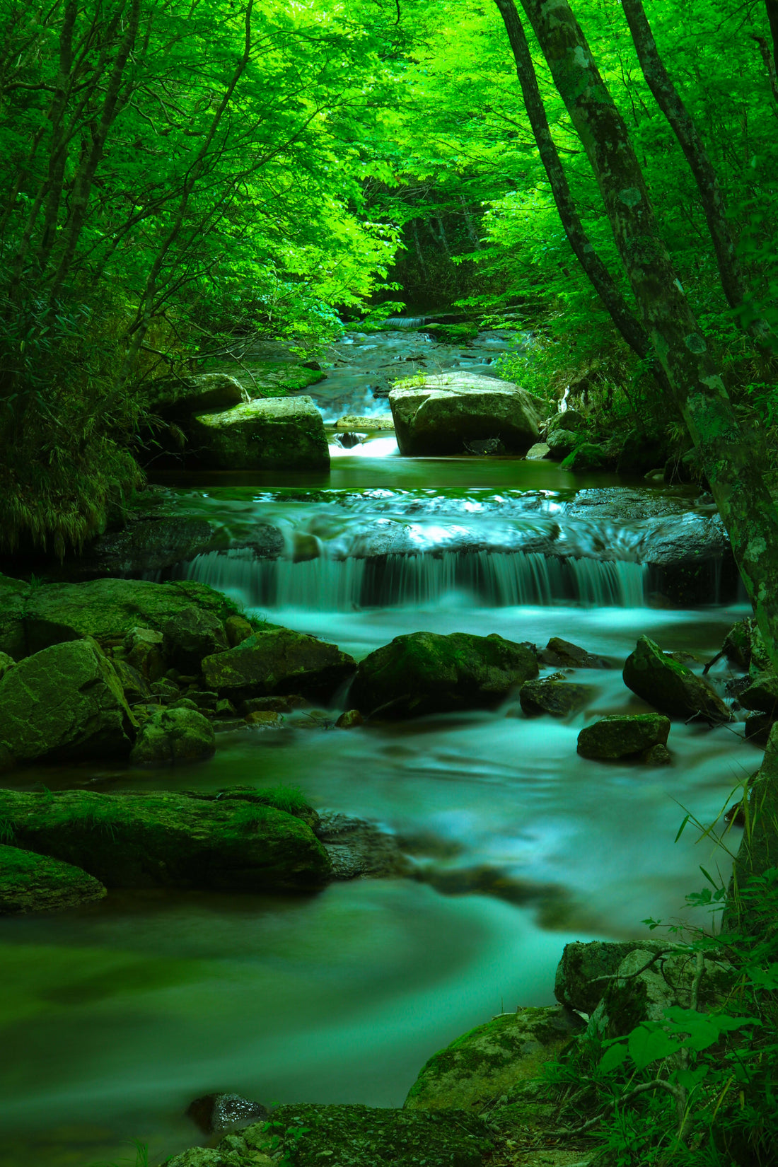 River murmur Satomi Mizuno