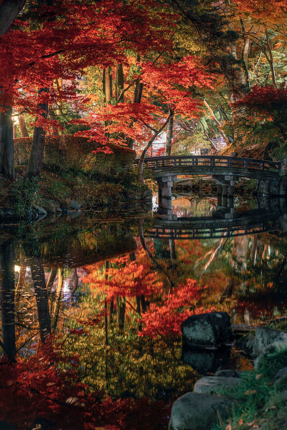 Reflection Ryo Onodera