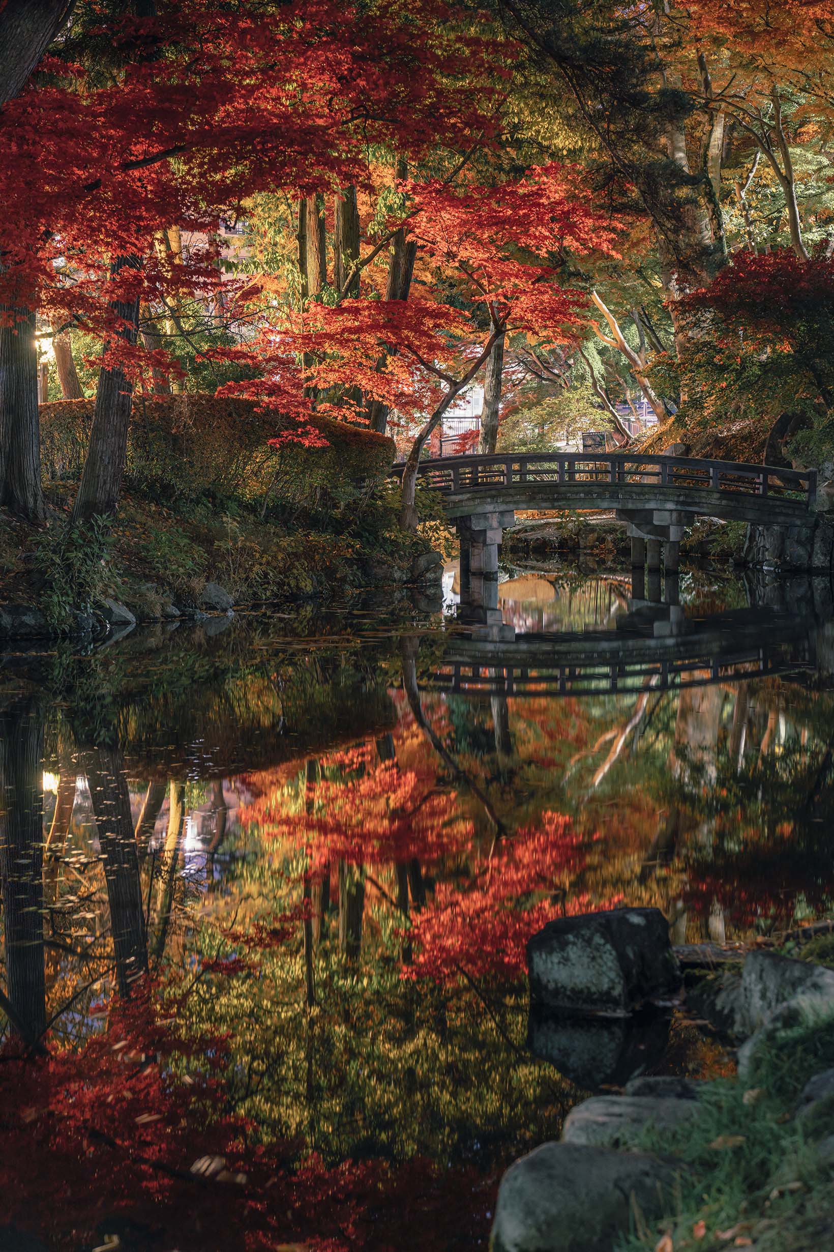 Reflection 小野寺遼