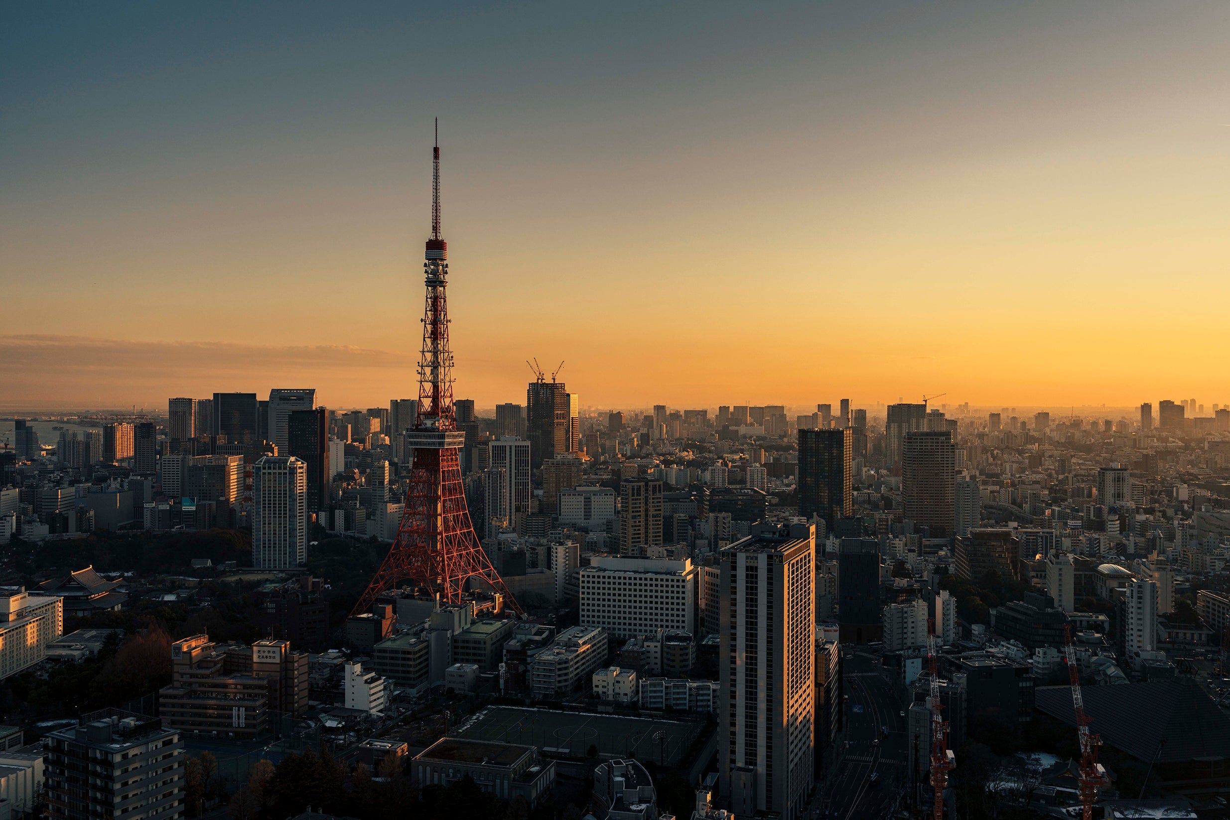 朱に染まって 1 小野寺遼