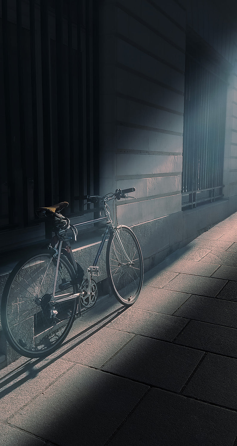 Lost Bicycle Satomi Mizuno