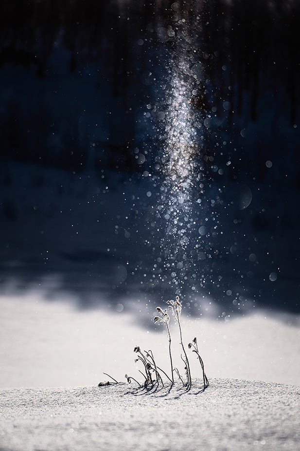 美瑛#6〜ダイヤモンドダスト〜 Biei ,Hokkaido,JAPAN#1〜Diamond Dust〜 平井葉月